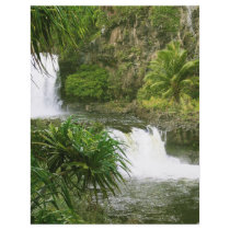 Hawaiian Waterfall 2 tiered flyers by bens555 Hawaiian Waterfall 2 tiered flyers