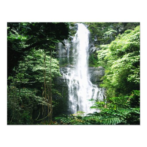 Hawaiian Waterfall Announcements