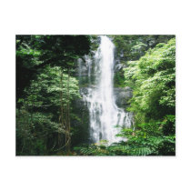 Hawaiian Waterfall Postcards