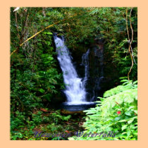 Hawaiian Waterfalls Poster posters