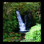 Hawaiian Waterfalls posters