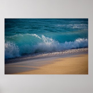 Hawaiian Waves Posters