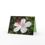 Hawaiian Wedding Best Wishes White Hibiscus Card