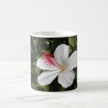 Hawaiian White Hibiscus (Japan Relief) Mug