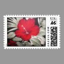 Hawiian Flower
