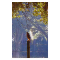 Hawk #1 stationery