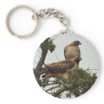 Hawk 2 Keychain