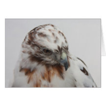 Hawk Card