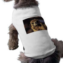 Hawk Close-Up pet clothing