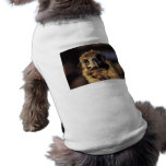 Hawk Close-Up Dog Clothing