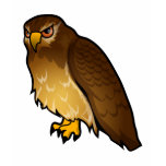 hawk, hawks, hawk design, hawk designs, hawk