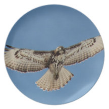 Hawk Dinner Plates