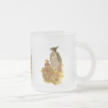 Hawk Eagle Mugs