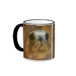 Hawk Eye Mug
