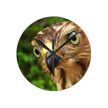 Hawk Eyes Clocks