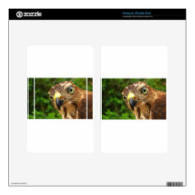 Hawk Eyes Decals For Kindle Fire