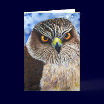 Hawk Eyes Greeting Card
