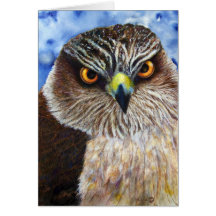 Hawk Eyes Greeting Card