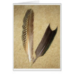Hawk Feathers cards