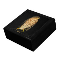 Hawk Jewelry Box