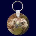 Hawk Head Keychain