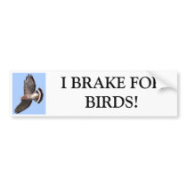 Hawk, I BRAKE FORBIRDS! Bumper Sticker