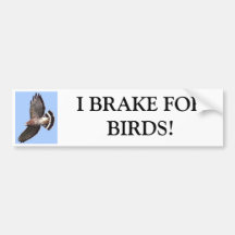 Hawk, I BRAKE FORBIRDS! Bumper Sticker