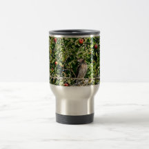 Hawk In Apple Tree Photo Mugs
