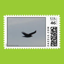 Hawk in flight Postage stamps