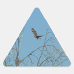 Hawk in Flight Triangle Sticker