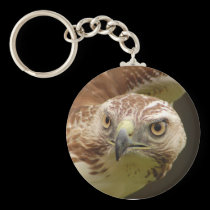 Hawk Key Chain keychains