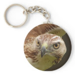 Hawk Key Chain keychains