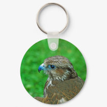 Hawk Keychain by nedell Hawk Keychain