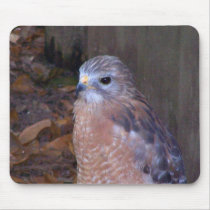 Hawk mousepads