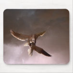 Hawk Mousepad