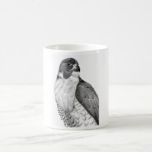 Hawk Mugs