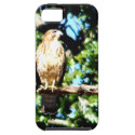 Hawk On A Limb iPhone 5 Cover