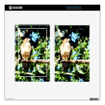 Hawk On A Limb Kindle Fire Skins