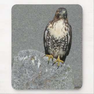Hawk on a Rock mousepad