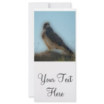 'Hawk Perched on a Post' Rack Card