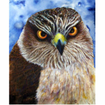 Hawk Photo Sculpture photo sculptures