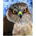 Hawk Photo Sculpture