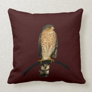 Hawk Pillow