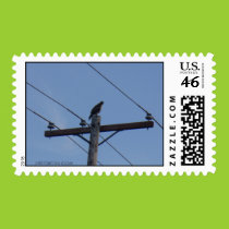 Hawk Postage postage
