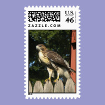 Hawk Postage stamps