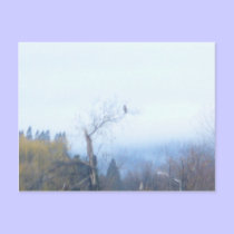 Hawk Postcard by shawke123 Hawk Postcard