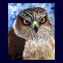 Hawk Print