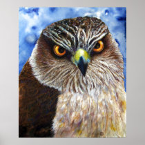 Hawk Print