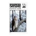 Hawk Sighting II postage