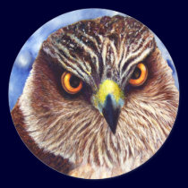 Hawk Stickers